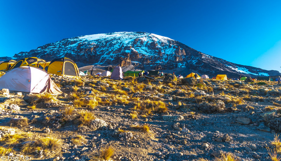 7 Days Climb Kilimanjaro Lemosho Route