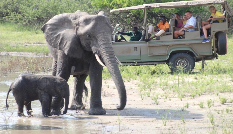 Slides Images for 2-Day Comfort Safari Experience To Nyerere National Park