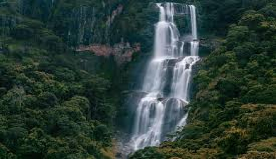 Slides Images for 1-Day-trip-to-udzungwa-mounains-national-park-safari