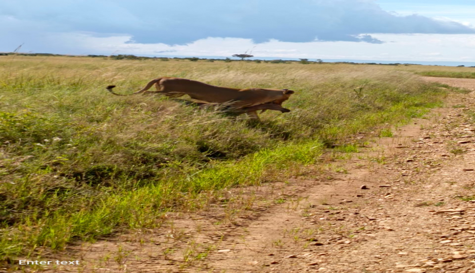 Slides Images for 7 Days Budget Safari
