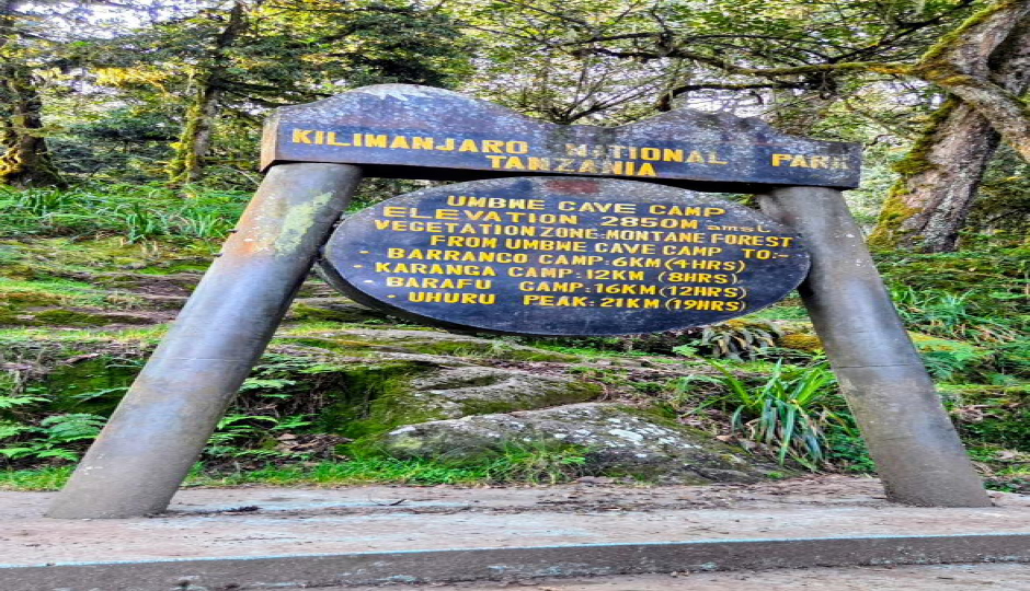 6 Days Machame Route Kilimanjaro Climb