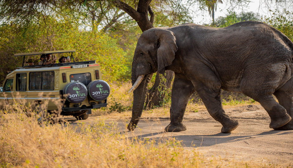 Slides Images for Taste Of Tanzania Budget Camping Safari