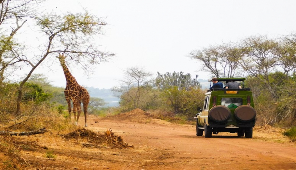 Slides Images for 2_days_best Tarangire, Ngorongoro & Manyara Trip_safari 