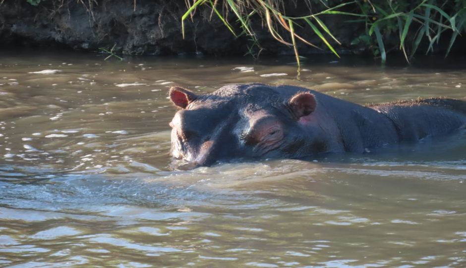 Lake Nakuru/ Lake Naivasha/ Hells Gate National Park/ Crescent Island