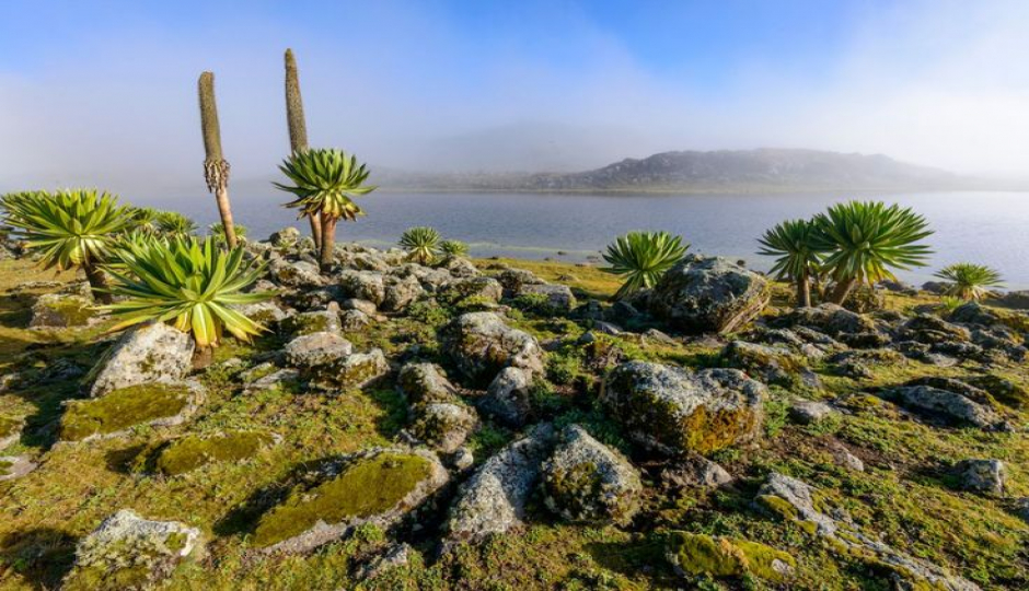 Slides Images for 12-Day Ethiopia: Tribes, Volcanoes & Wildlife Trek