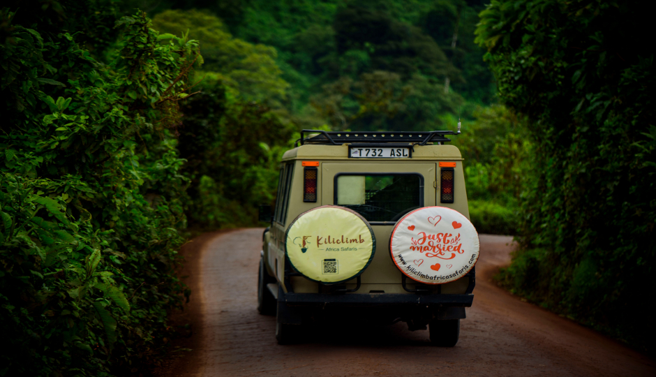 Slides Images for Romantic Tanzania Safari
