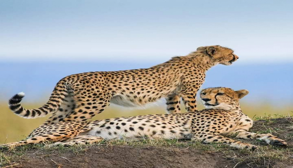 Slides Images for Discover Kenya In 7 Days: Private Safari