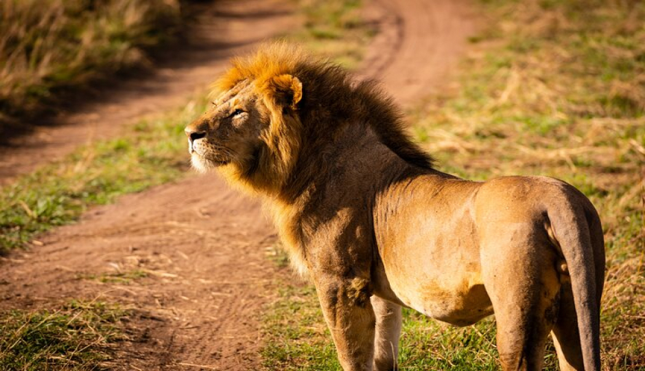 3-Day Luxury Tarangire & Ngorongoro