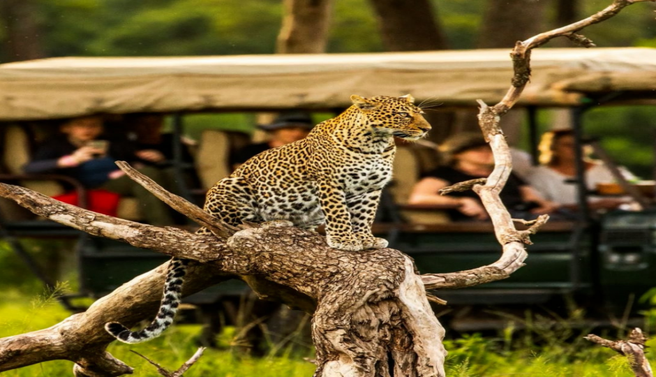 Slides Images for 7 Nights Of Unforgettable Kenyan Safari Adventures