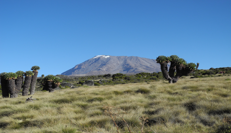Slides Images for 8-Day Kilimanjaro Climb: Scenic Lemosho Route