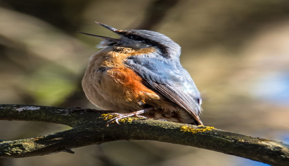 Slides Images for 4 Days Northern Tanzania Safari Experience