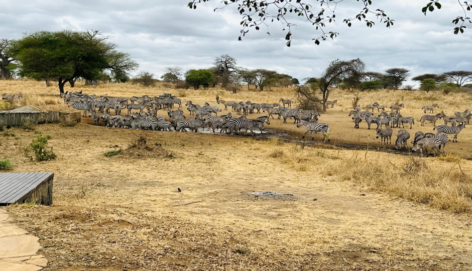 Slides Images for 3 Days 2nights  Fly In Zanzibar Tarangire, Manyara & Ngorongoro Crater