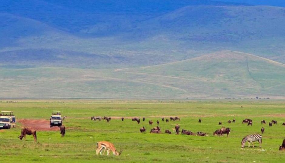 Slides Images for Wildlife Adventure Tanzania Safari