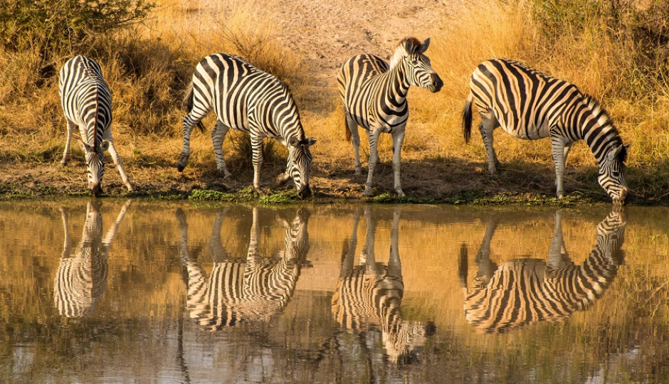 Slides Images for 2 Days Budget Camping Safari From Arusha: Tarangire & Lake Manyara.