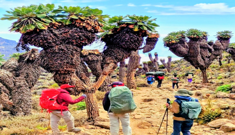 Slides Images for 7-Day Machame Route Kilimanjaro Climb 