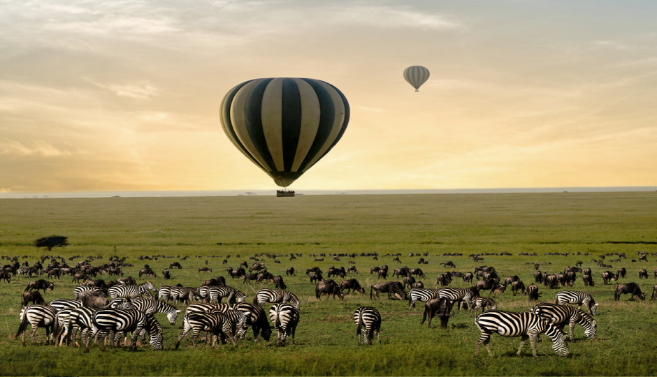 Hot Air Balloon Experience