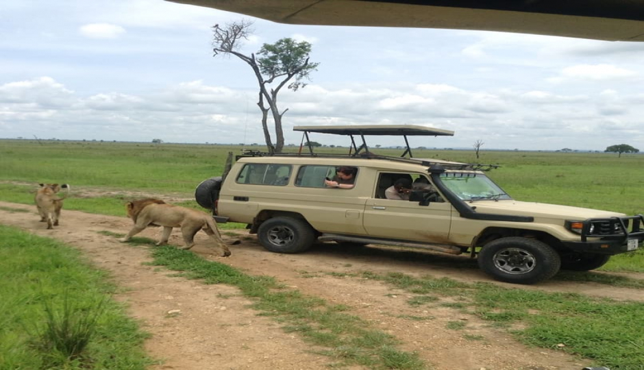 Great Adventure In Mikumi National Park