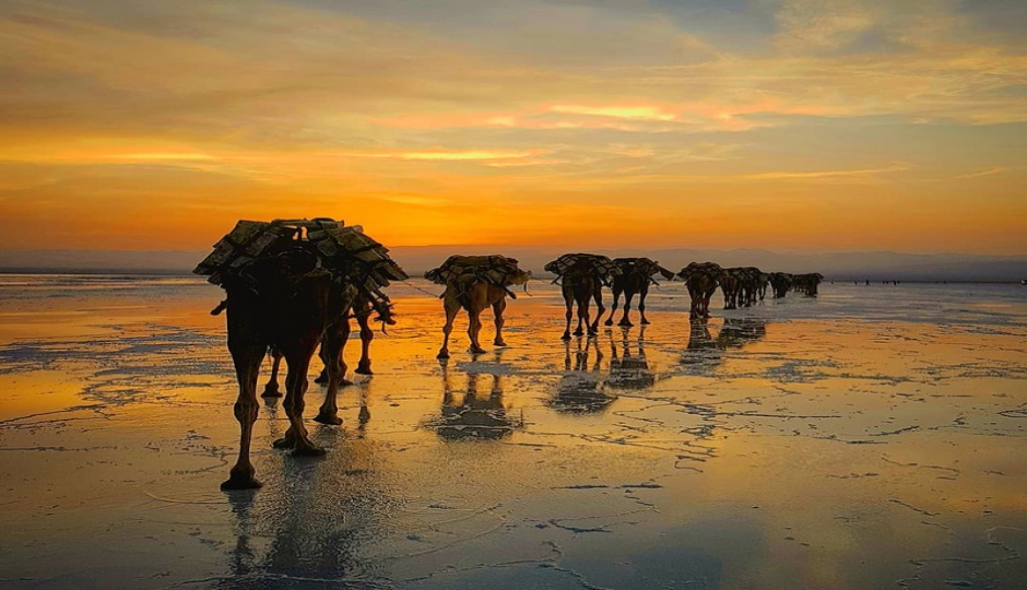 Slides Images for Danakil Depression Tour | 3 Days To Dallol & Erta Ale