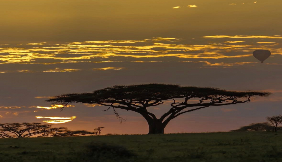 Slides Images for Essence Of Tanzania - Luxury Tarangire, Ngorongoro & Manyara 