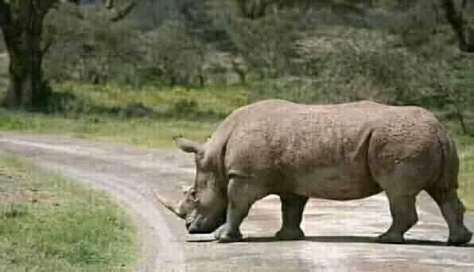 Slides Images for Tanzania Photographic Safari