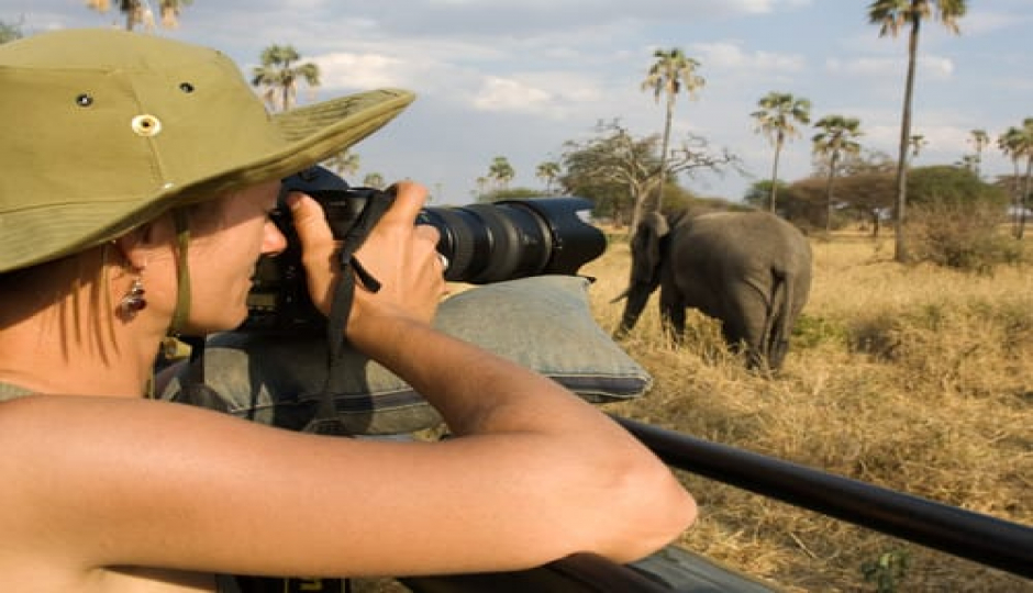 Slides Images for Tarangire, Serengeti And Ngorongoro Crater