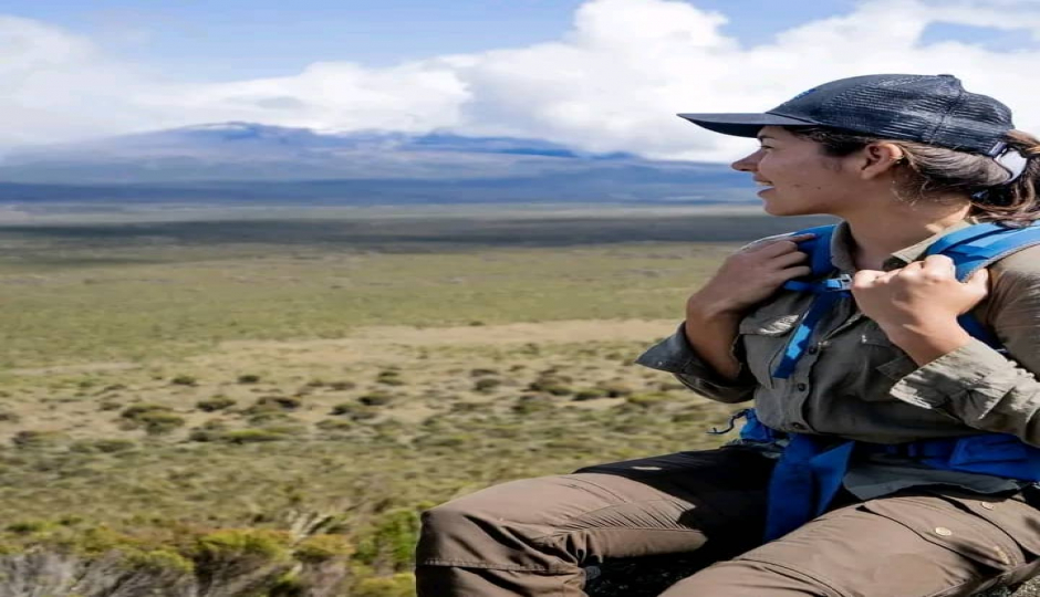 Kilimanjaro Trekking 7 Days Lemosho Route