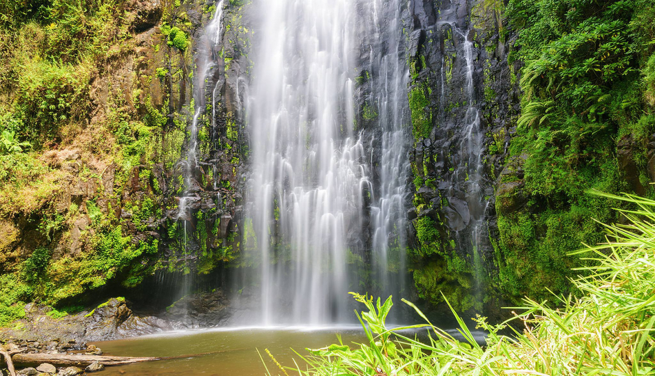 7-Day Great Shared Safari Journey
