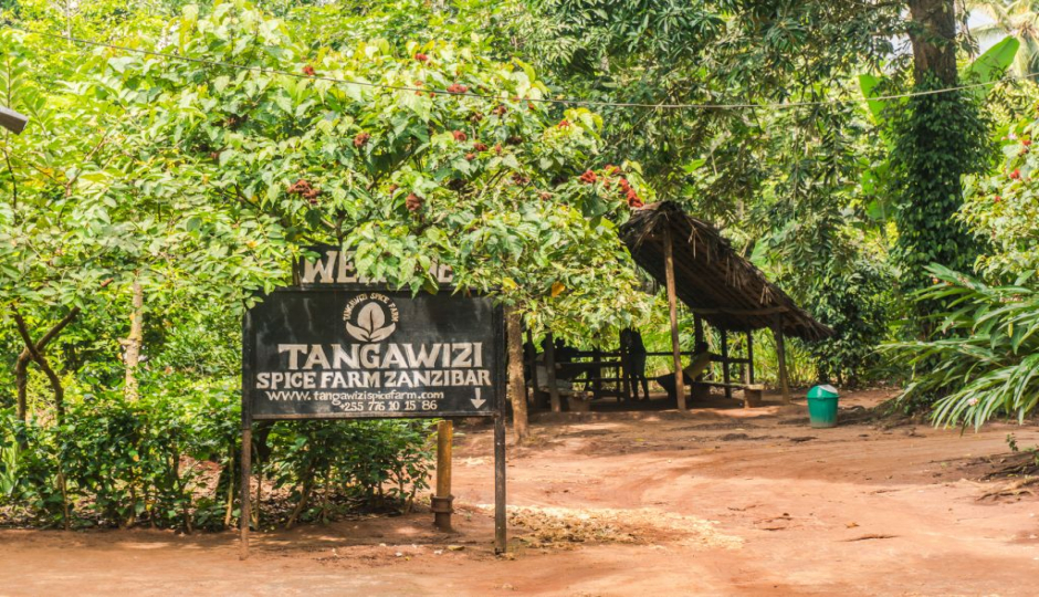 Slides Images for 1 Day Tanzania Spice Farm tour 2025-2026