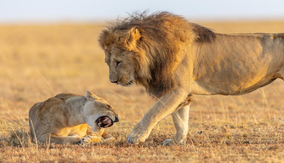 Slides Images for 4 Days Tarangire, Serengeti & Ngorongoro
