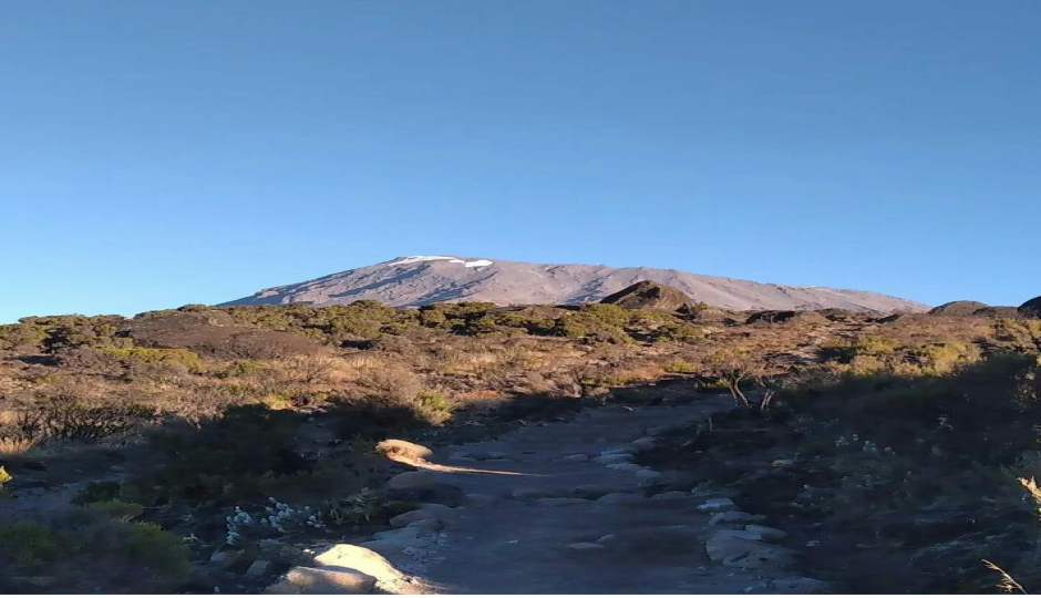 Marangu Route Kilimanjaro Day Hike