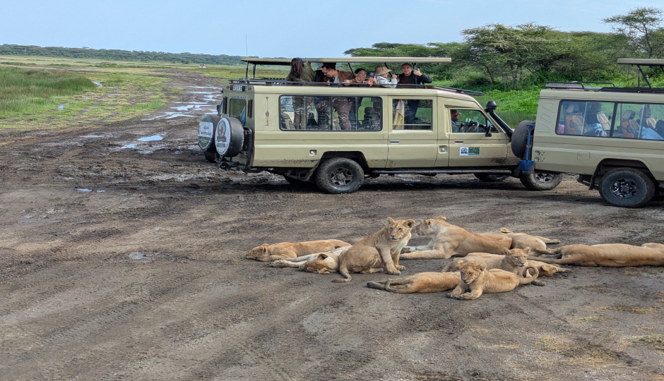 5 Days Tanzania Sharing Safari 2025/2026 