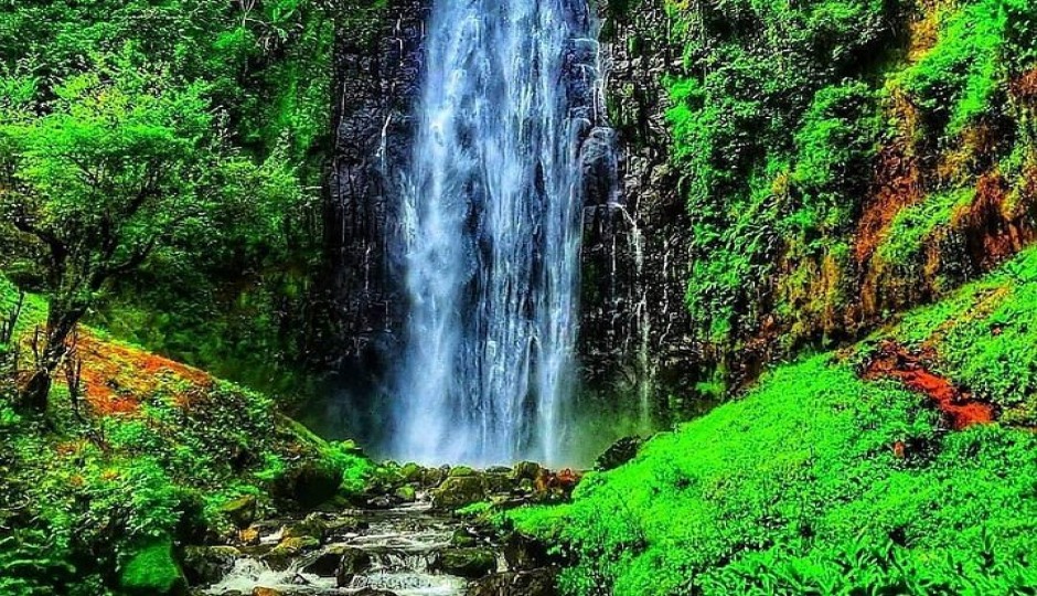 Slides Images for 1-Day Materuni Waterfalls & Coffee Excursions