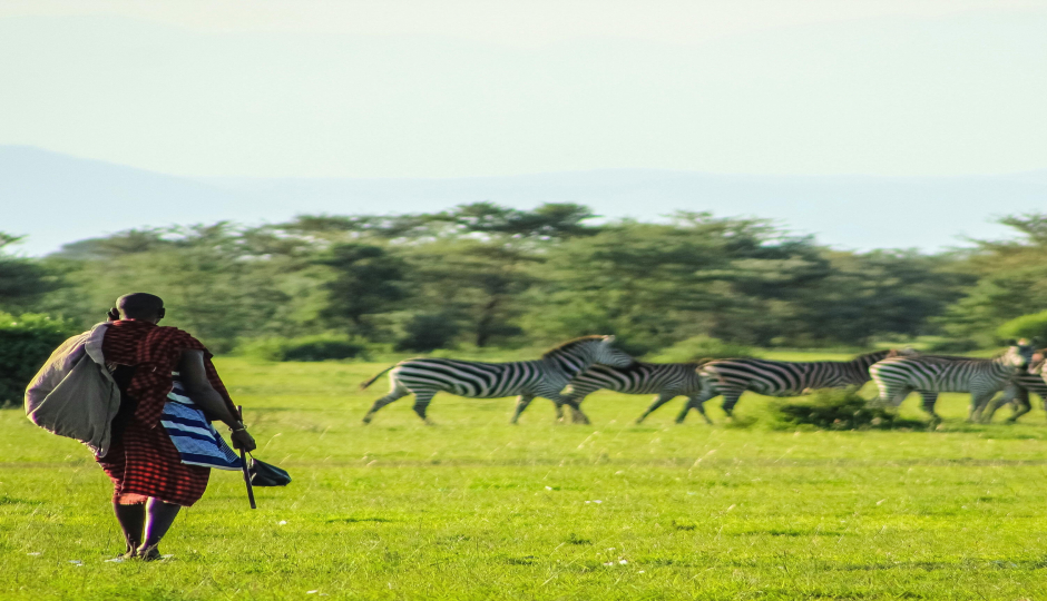 Slides Images for 4-Day Safari On A Budget