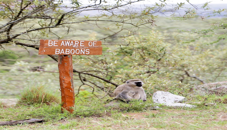 Slides Images for 1-Day Lake Naivasha Trip From Nairobi