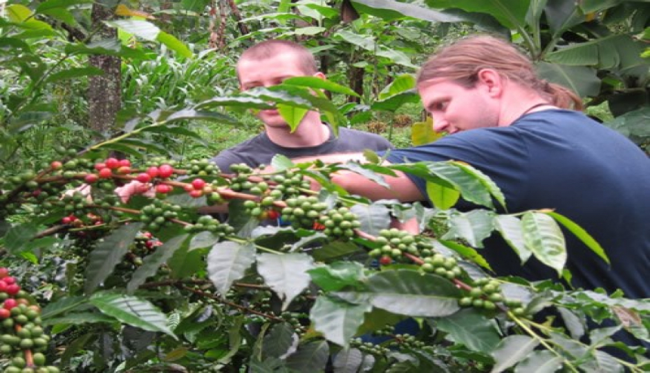 Cultural Tour And City Tour