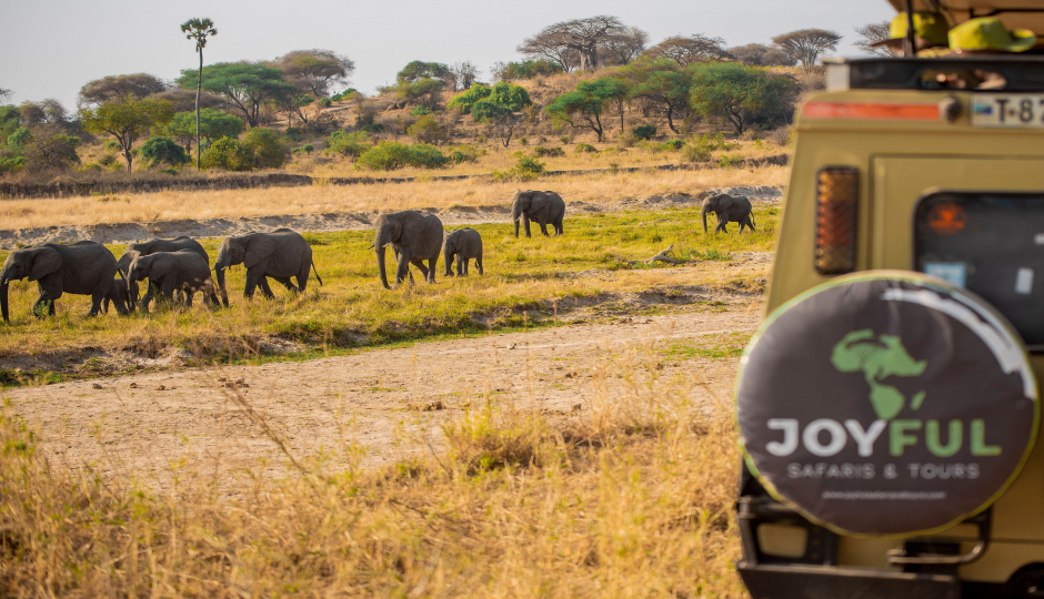 Slides Images for Tanzania Safaris, Waterfalls And Coffee Tour