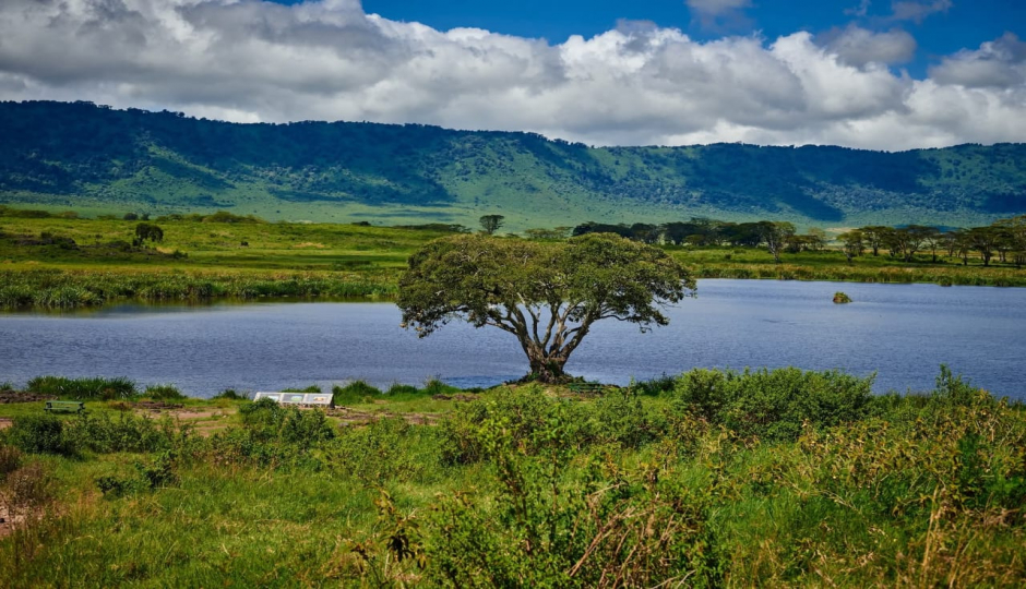 Ndutu Luxury Calving Season Migration Tanzania Safari
