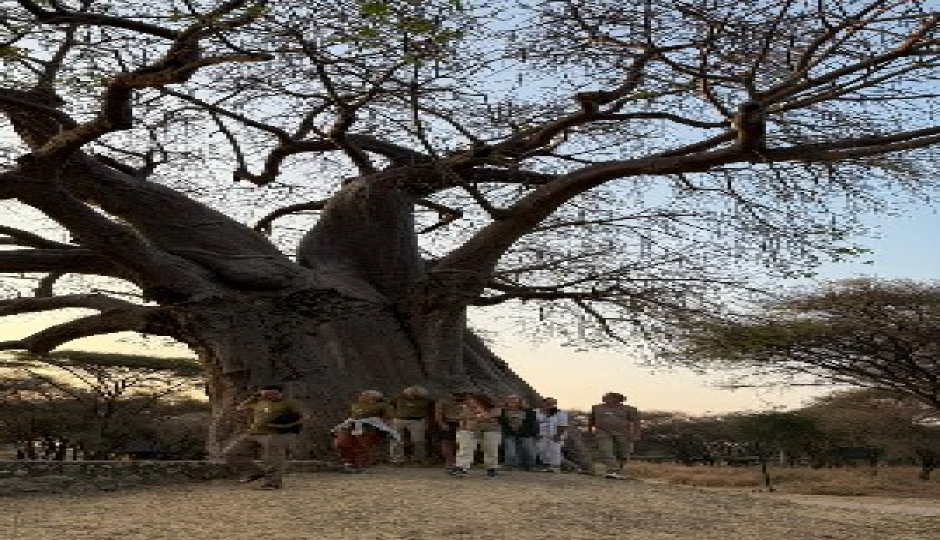 Slides Images for Tarangire, Serengeti & Ngorongoro Crater Tour