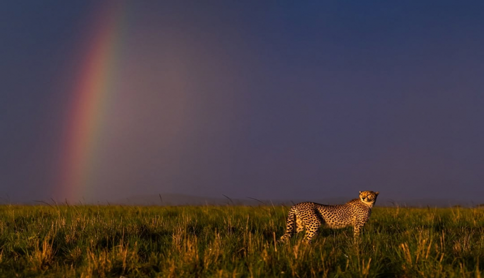 Slides Images for Tanzania Safari & Balloon Experience