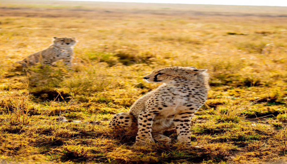 Slides Images for Private Camping And Lodge Safari