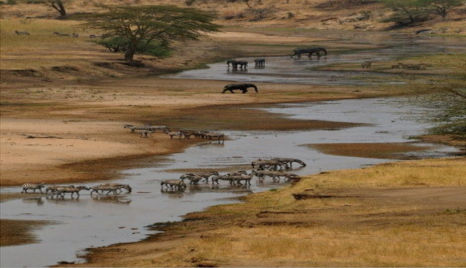 Slides Images for 2-Day Join-in Group Safari From Zanzibar.