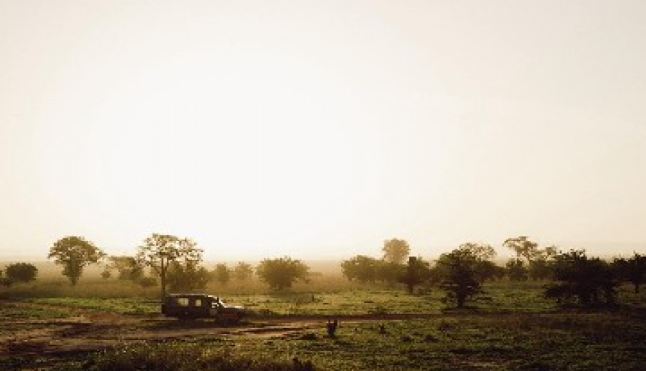 Slides Images for Fly-in And Out To Tarangire And Ngorongoro Safari