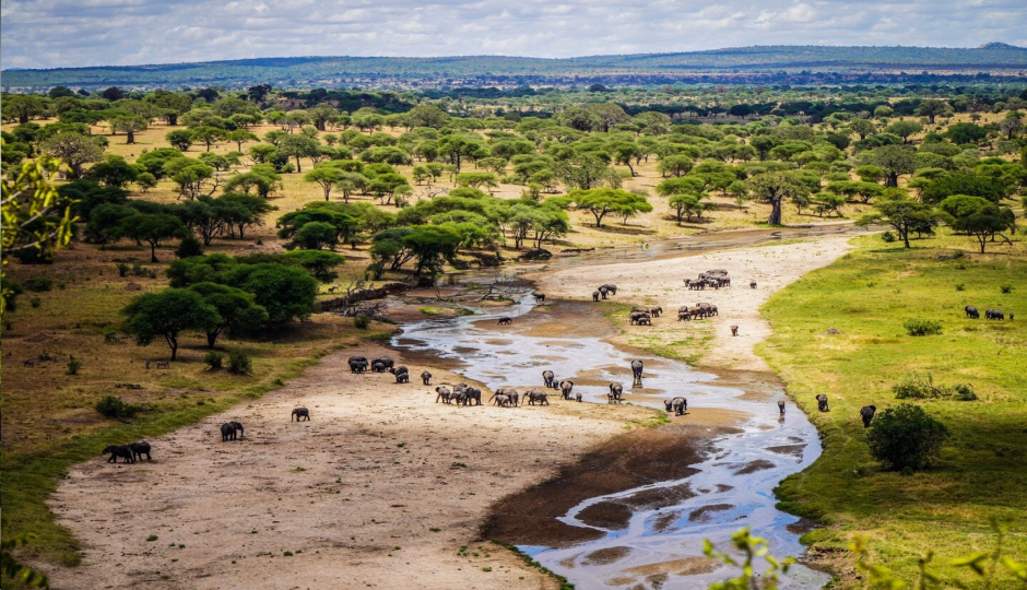 Slides Images for Explore Tanzania And Zanzibar Safari 