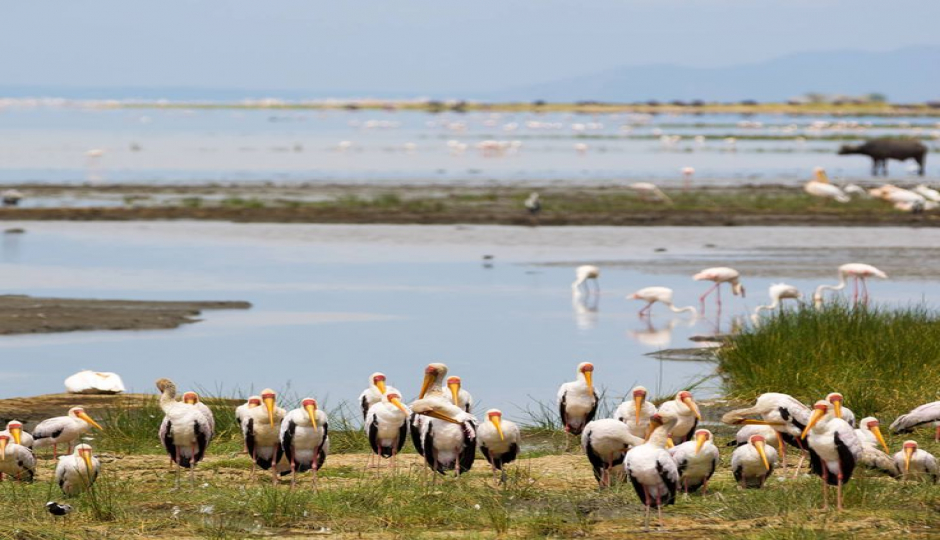 Slides Images for 3-Day Join-in Group Safari From Zanzibar.