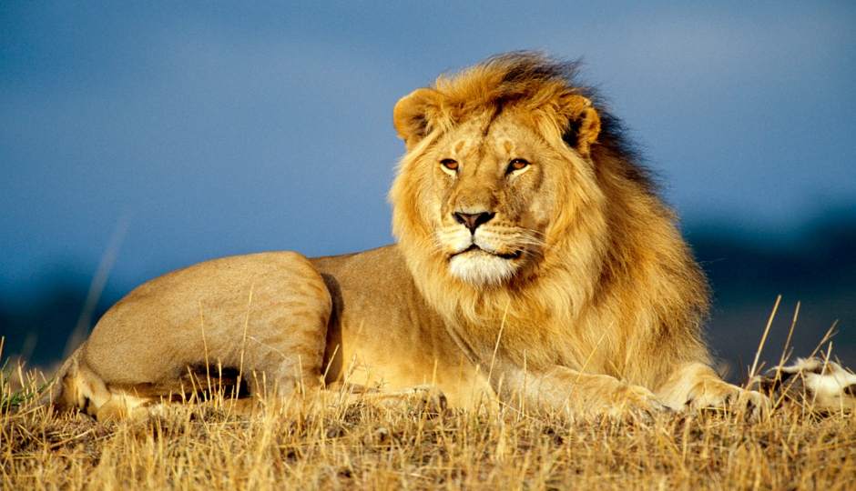 13 Days Tanzania Memorable Safari