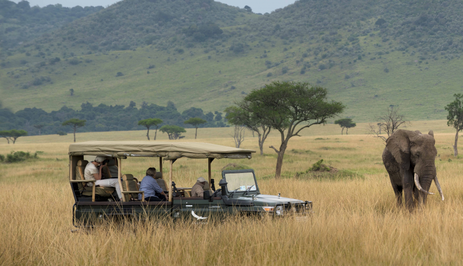 Cover Image - Gecko Adventure Tanzania