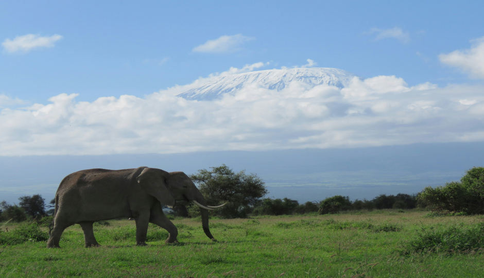 6 - Day Kenya Safari Adventure.