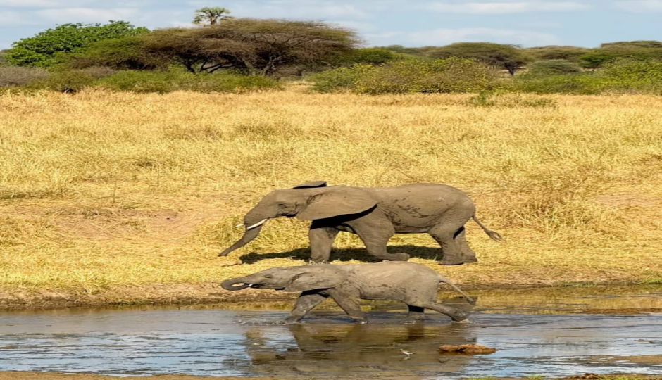 Slides Images for Days Tanzania Private Safari 