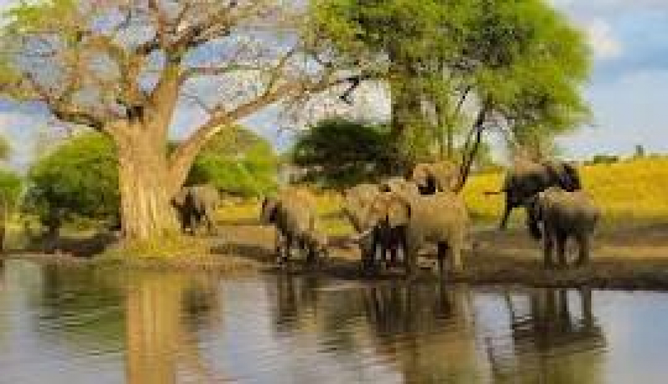 Slides Images for Tarangire And Ngorongoro Crater