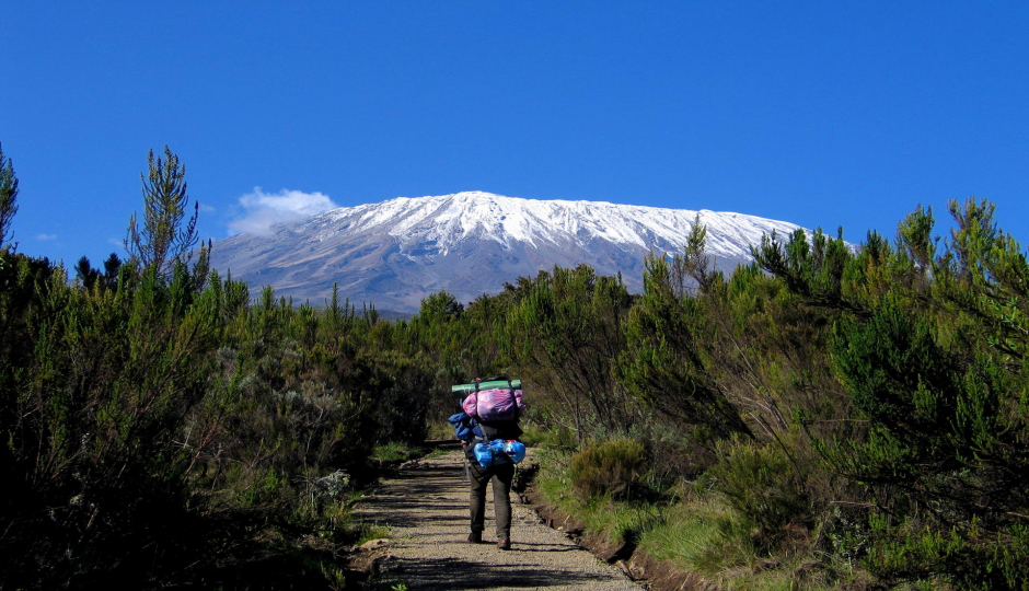 Kilimanjaro Trek Rongai Route 7-Day Trek 9day Tour